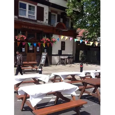 The Forester Ealing-2